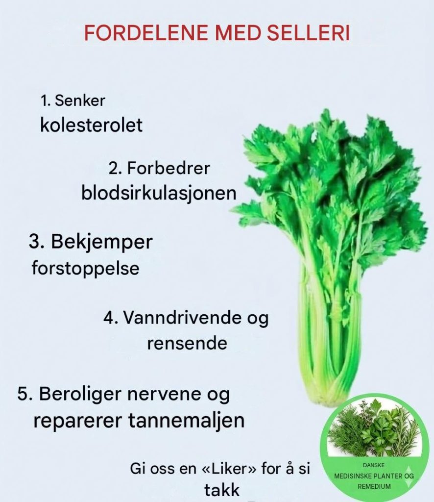 Hvis du spiser selleri hver dag